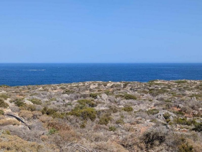 Stavros Kreta, Stavros: Küstengrundstücke mit Baugenehmigung und Meerblick zu verkaufen Grundstück kaufen